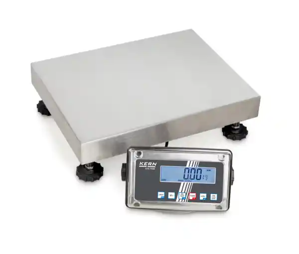Platform scale SFE 60K-2NM